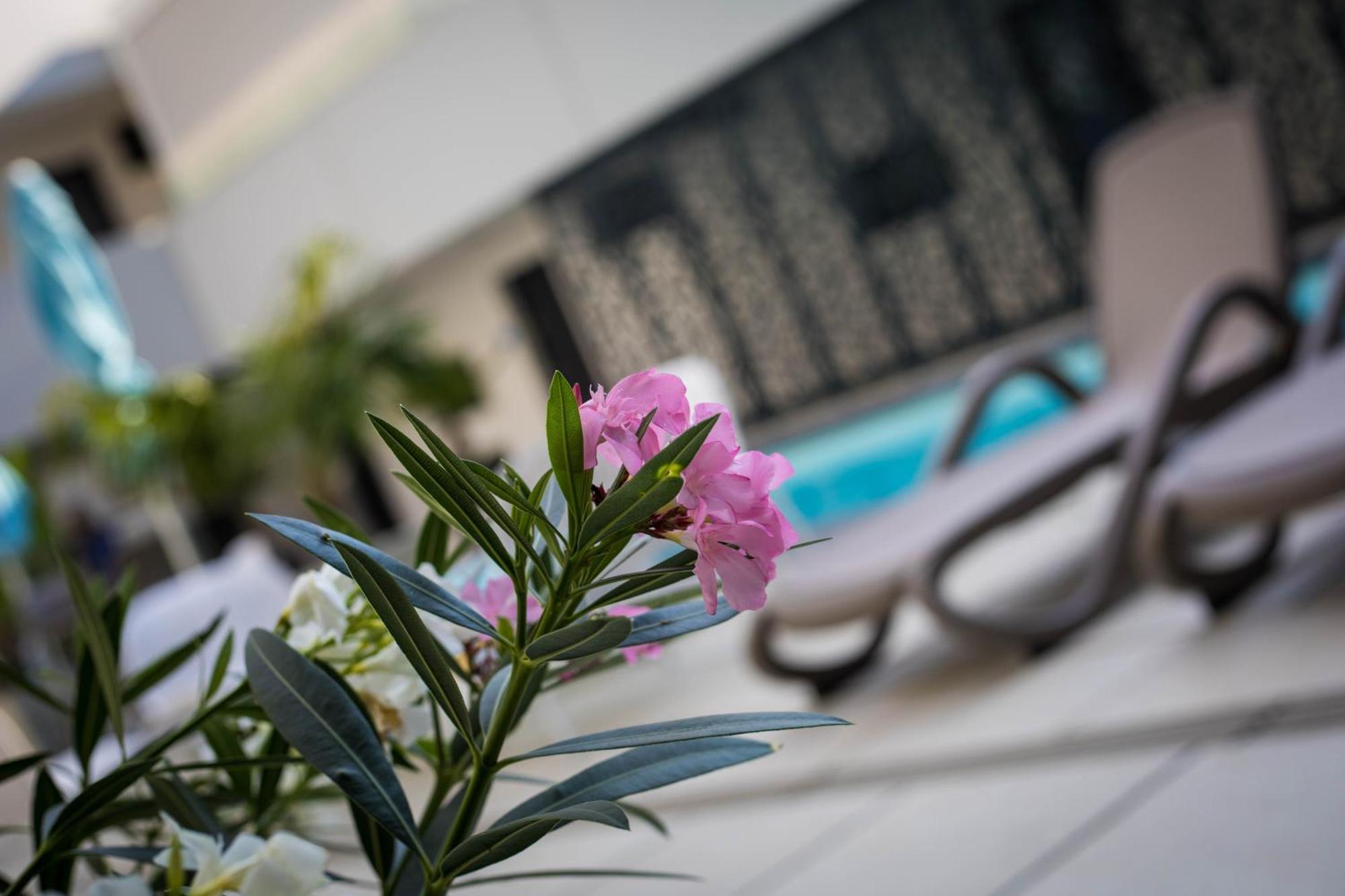 Sunset Resort - Lakeside Apartment Fonyód Екстериор снимка